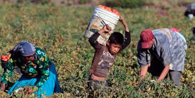 Niño trabajando como jornalero Niño trabajando como jornalero