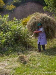 dia de las mujeres rurales