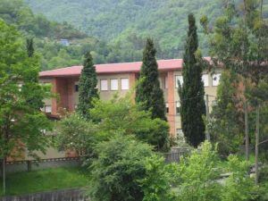 Escuela pública El Bosquín (Fuente: web del colegio)