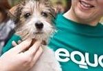 EQUO Nalón organiza laboratorio de ideas sobre temas animalistas