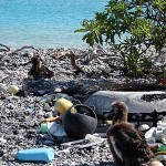 Contaminación por Plástico