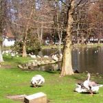 Parque Isabel La Catolica, Gijon