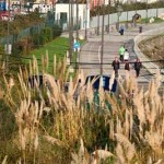 Plantas Invasoras en Avilés