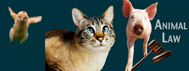 Derechos de los Animales