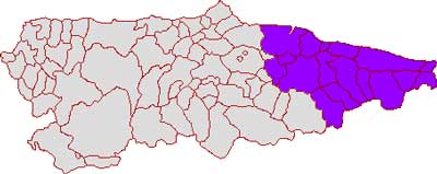 Lista EQUO Asturias para la Circunscripción Oriental