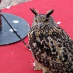 Buho expuesto en el Parque de El Entrego durante las fiestas