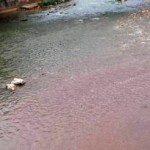 Un vertido de Macelo Mieres tiño el Río Caudal de rojo