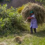 dia de las mujeres rurales