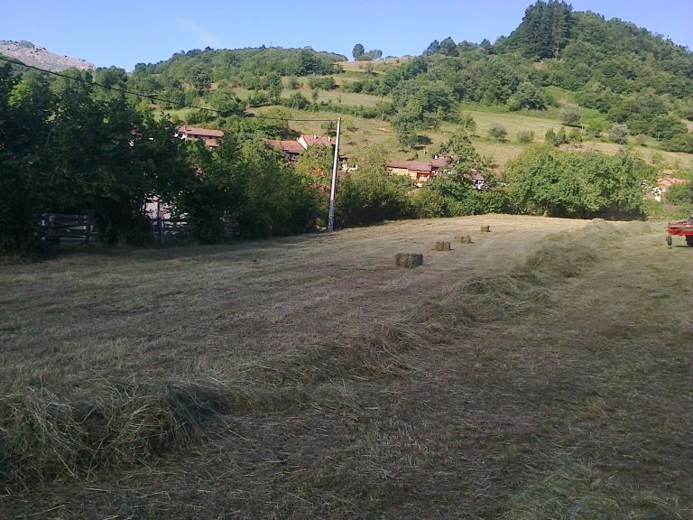 Nueva ley de caza para Asturias Hierba parque redes