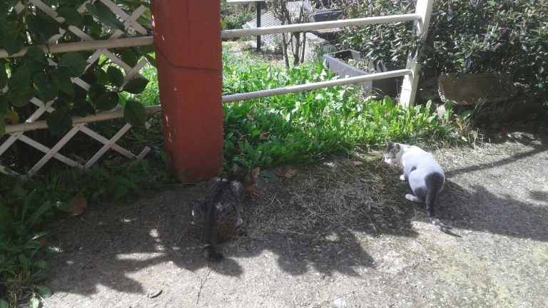 photo5999230647589251390