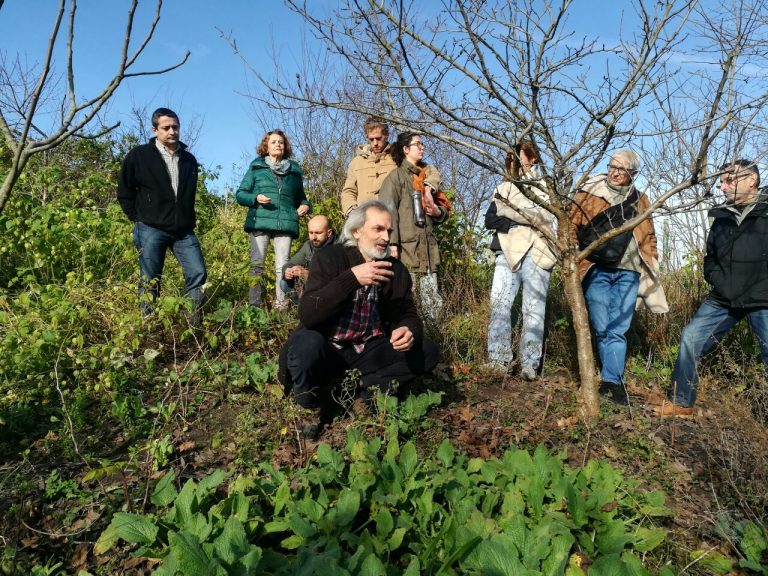 Un café con el Proyecto Fresneda photo5987749096200449874