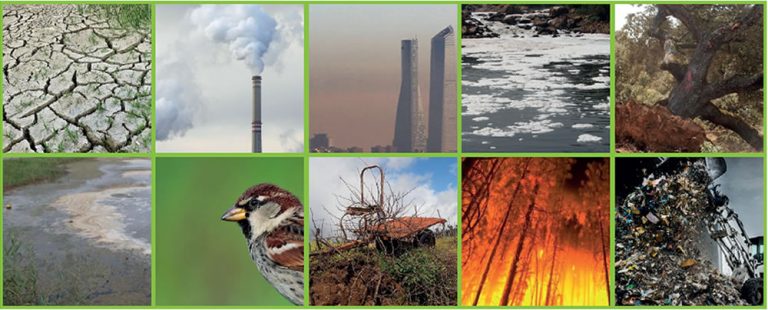 cabecera_boletin_encuesta_amenaza