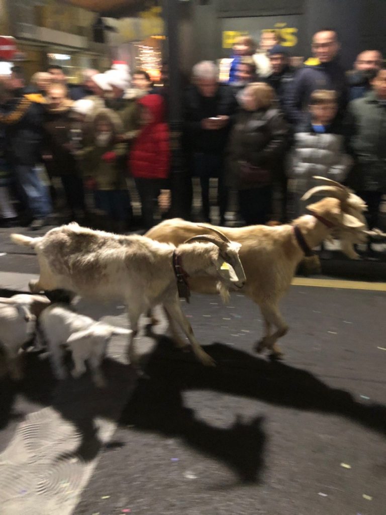 photo5875076938496847959