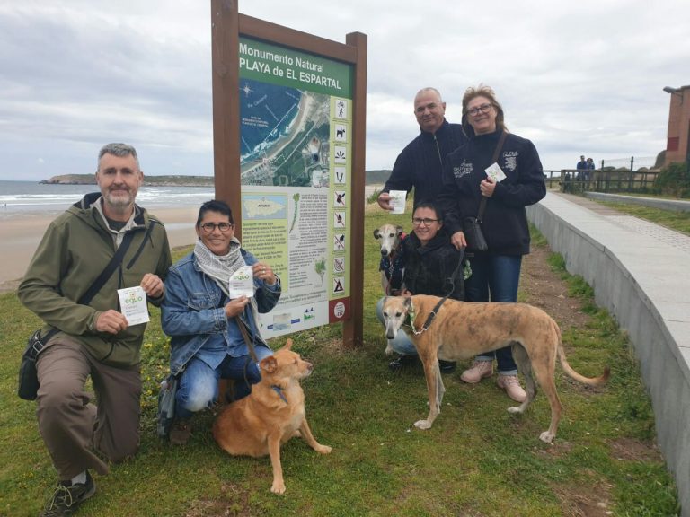 Perros y playas Perros Castrillón