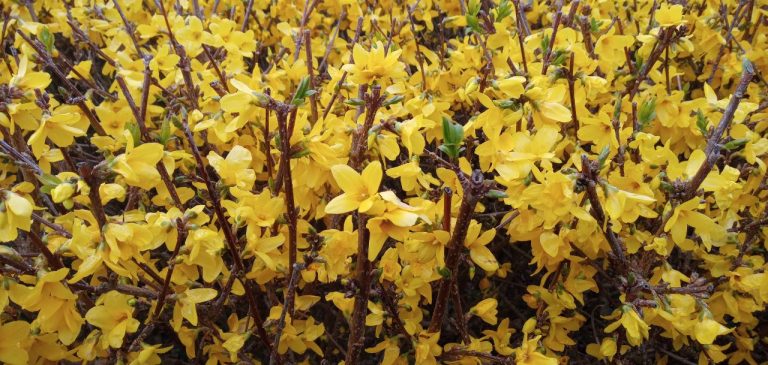 photo5816676829359092874